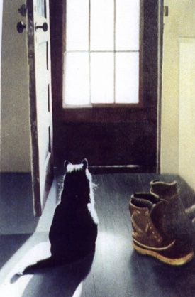 Cat at Door
